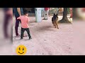 Meeting my German Shephard Nami after 2 months. Vrindavan