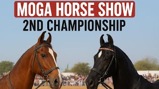 I am back! Moga Horse show 2025 full vlog || Show te peya pura pecha
