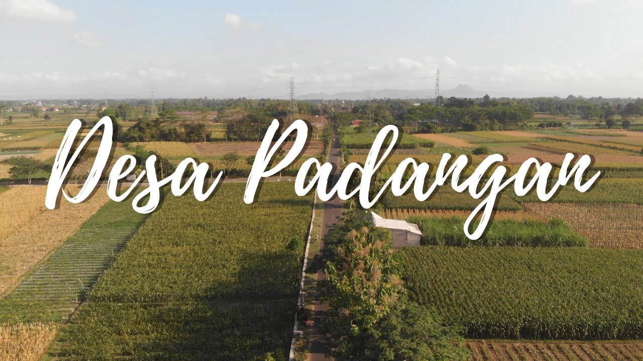 Profil Desa Padangan Tulungagung #PROFILDESA_PMMUMM2020