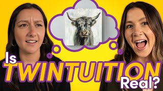 Competitive Twin Sisters Clash Over Bedroom Design Challenge! | Swapping Carts