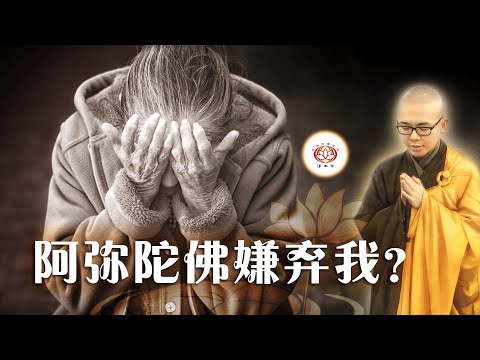 阿弥陀佛嫌弃我？  👼（真实故事） | 净本法师 主讲