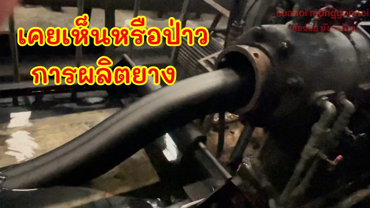 พาดูการผลิตยาง ด้วยวิธีการรีด, Watch the production of rubber with the rolling process.