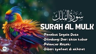 MUROTTAL MERDU PENEBUS SEGALA DOSA-DOSA | NGAJI MERDU SURAH AL MULK MENYENTUH HATI | NGAJI