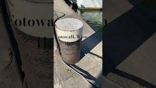 Fotowalk In Wien Hafen