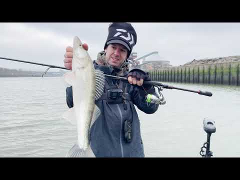 Daiwa | Exist G LT 2022