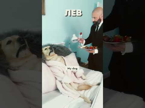 Как едят разные знаки зодиака!😂 #shortscomedy #гороскоповен #гороскоплев #гороскопдева