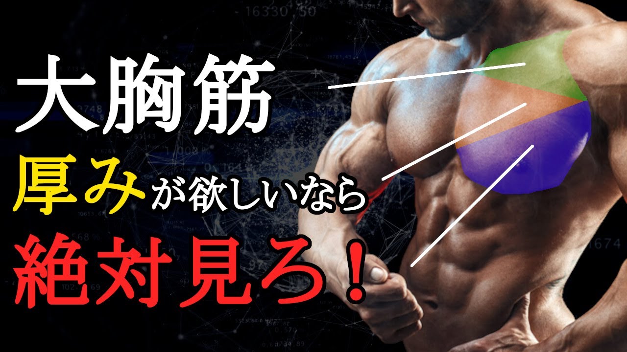 大胸筋の厚みが欲しいならこの5つを絶対守れ！最強の筋トレメニューを科学的に徹底解説！