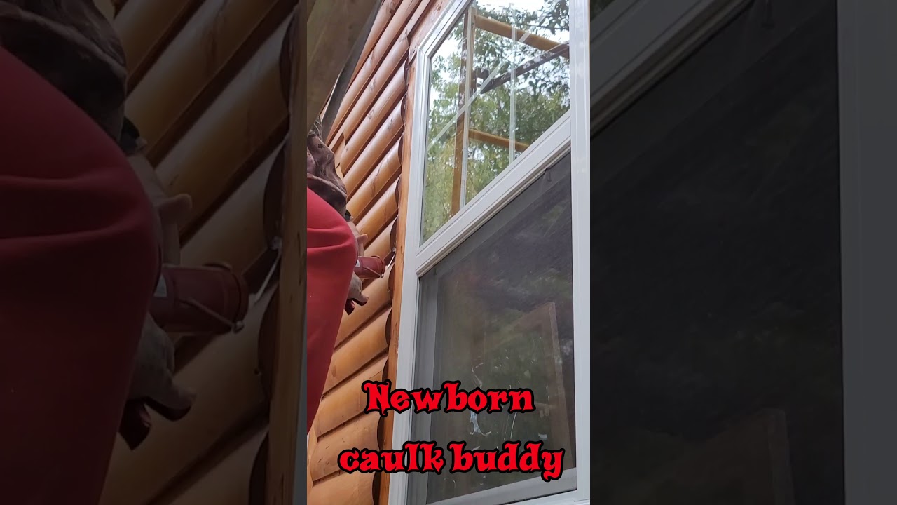 fastest caulking with this newborn caulk buddy YouTube