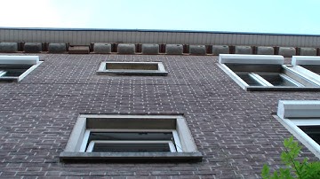 Swift activity in Leuven. Gierzwaluwen rond de kolonie. Martinets autour de la colonie.