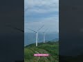 能源掏空術