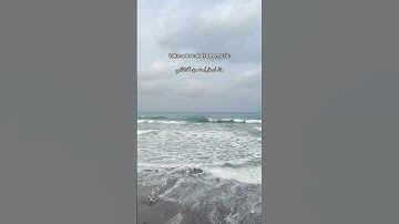 #سورة_فاطر | ٣٤ | القارئ : #عمر_بن_ضياء_الدين #قرآن #قران_كريم #quran #ارح_سمعك #ارح_قلبك