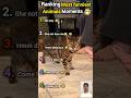 Most Funniest Animals Reactions😂🤨 #animals #funny #pets #cat #dog #shorts #trending #viral #cute