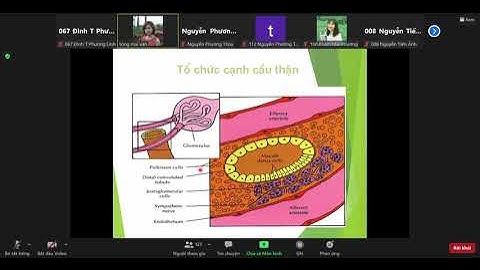 Dược lý 2   Tăng huyết áp phần 1