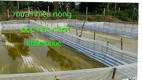 nòng nọc mưa hao nhiều, cách khắc phục