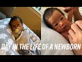 Day in the life of a newborn (1 week old)