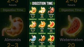 How Long Does It Take to Digest Different Foods?   | Digestion Time Explained #healthyeating