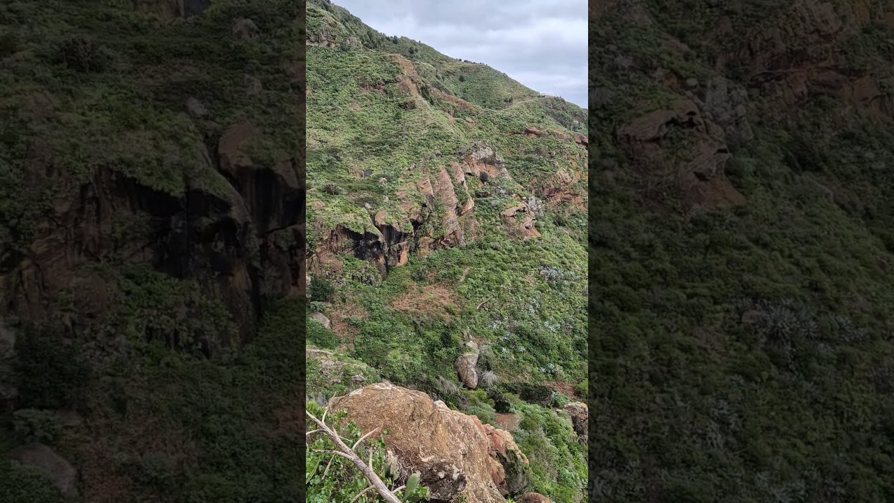Camino Casa Carlos - Afur, Anaga/Tenerife