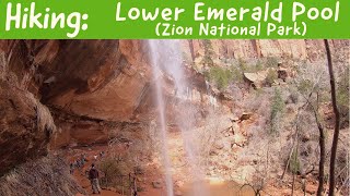 Hiking Lower Emerald Pool (Zion National Park)