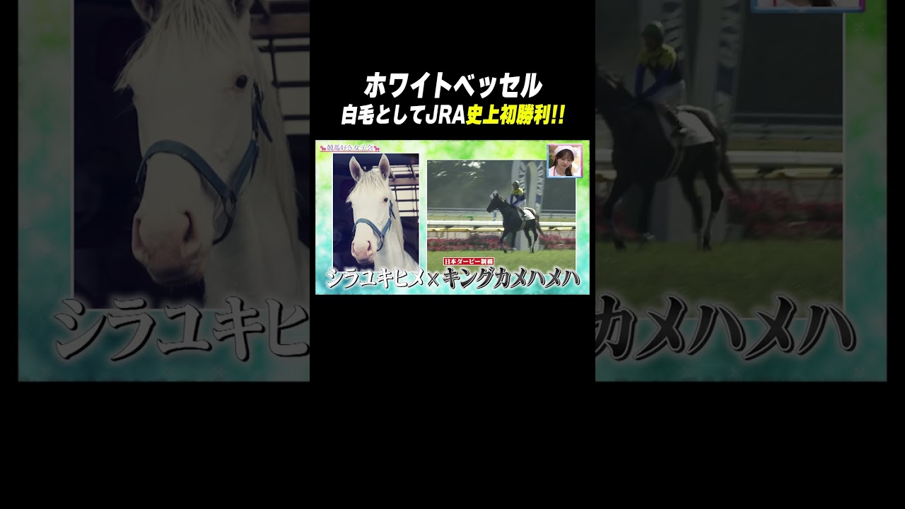 白毛の馬を絶やすな!!】#シラユキヒメ × #クロフネ