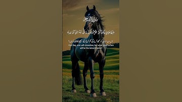 #القرآن_الكريم ماتيسر من سورة الفجر صوت يريح القلوب القارئ هشام الهراز  #اكسبلور #duet