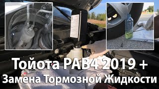 Тойота РАВ4 (2019-2024): Замена Тормозной Жидкости.