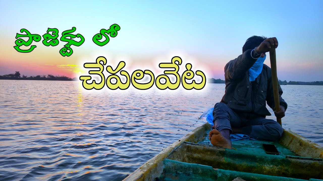 సంక్రాంతి కి చేపలవేట || మా ప్రాజెక్ట్ లో చాలా రోజులకు చేపలు పట్టినం 
