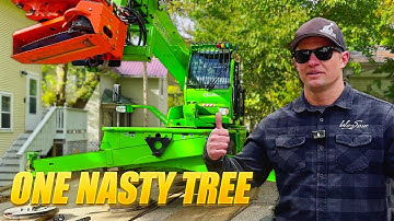 Dangerous Boxelder Removal Over House & Power Lines