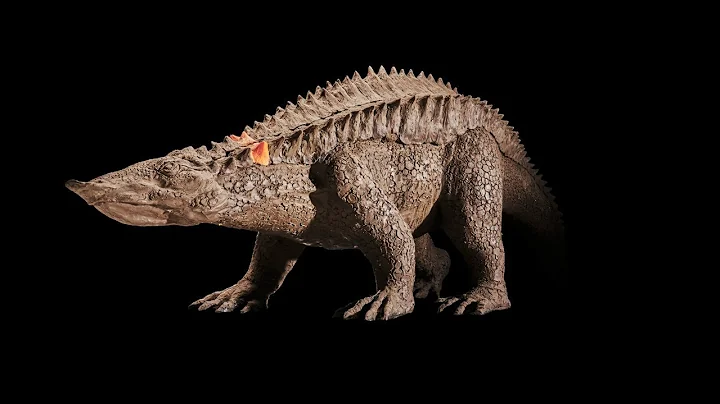 Before Ankylosaurs, There Were Aetosaurs