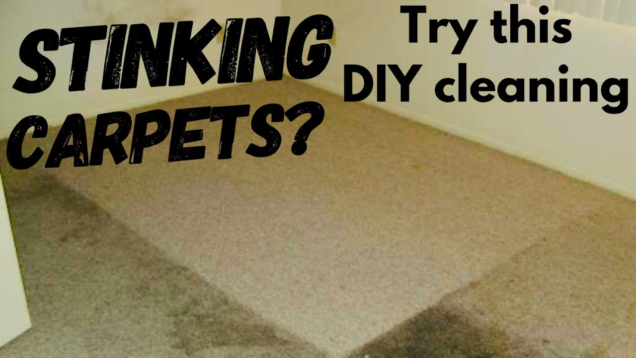 DIY Carpet Cleaner Recipe using Baking Soda Simple and Effective!