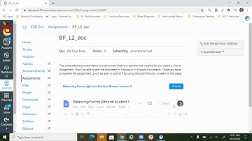 Canvas-Amplify Science Google Doc Assignment (New)