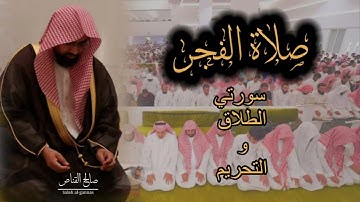 صلاة الفجر للشيخ ناصر القطامي من سورة الطلاق  والتحريم ١٩-٣-١٤٤٤