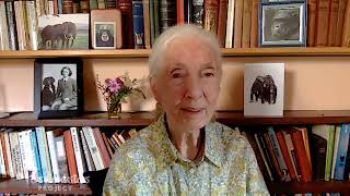 Dr. Jane Goodall Discusses How To Make a Difference