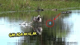 Seru Nya Mancing di Sungai ini Serasa Mancing ikan di Negara Konoha