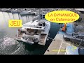 J17 manuvre de port en catamaran la mthode dynamique