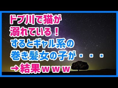 スカッとする話 ドブ川で猫が溺れている！するとギャル系の巻き髪女の子が・・・・ →結果ｗｗｗ スカッと天国