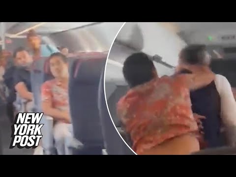 Video shows American Airlines passenger punching flight attendant | New York Post