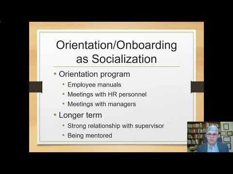 Video: Hvad er socialisering i en organisation?