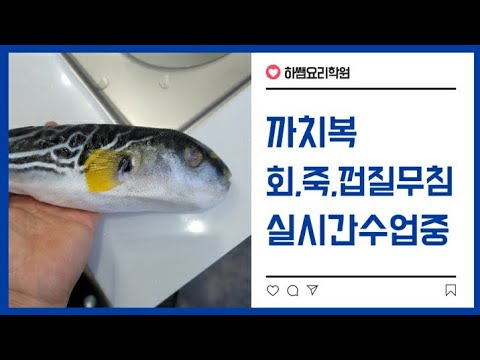 <strong>2020년도</strong> 복어 생방송(하쌤의복어조리기능사)