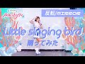 【反転/MIRROR】Little singing bird 踊ってみた【宮原】ルルットリリィ挿入歌