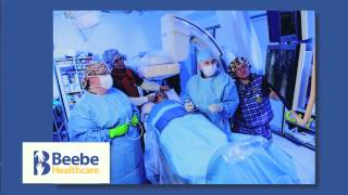 BeebeRecruitment 2017