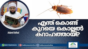 എന്ത് കൊണ്ട് കൂറയെ കൊല്ലൽ കറാഹത്തായി | Aslami Usthad | Hubburasool Online