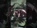 loose brush work and jungle tones; acrylic painting on streched canvas 4*3 feet #acrylicpainting