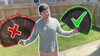 I Found the BEST way to Preserve a TURKEY FAN! DIY Taxidermy