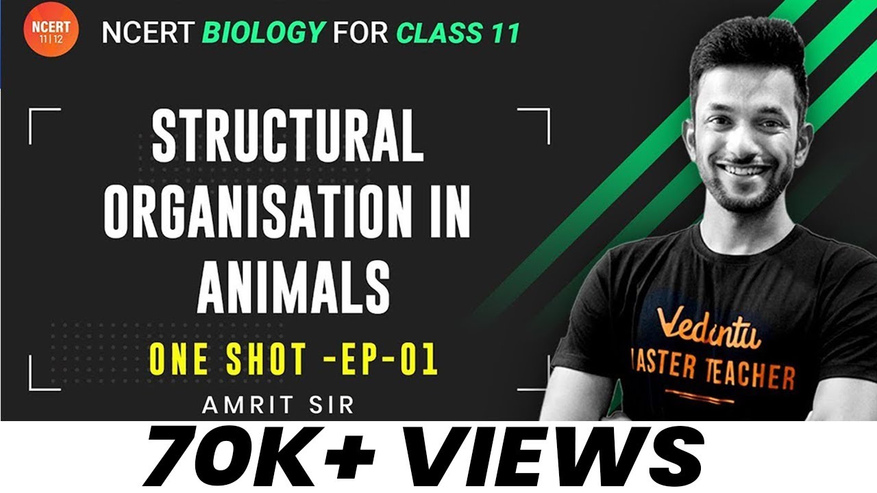 Structural Organisation in Animals | ONE SHOT | NEET 2022 Biology ...