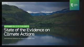 State of the Evidence on Climate Actions