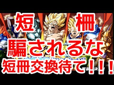 ドッカンバトル 1251 短冊交換待った ドカバト最強カテゴリの話 Dragon Ball Z Dokkan Battle 地球育ちのげるし Youtube