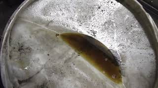 видео: Фольксваген Пассат Без заднего хода ! Советую посмотреть . картинка: Фольксваген Пассат Без заднего хода ! Советую посмотреть .