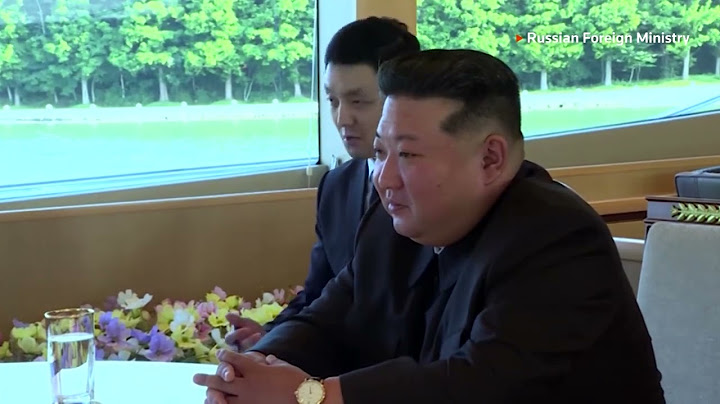 Lavrov meets Kim Jong Un in North Korea | REUTERS