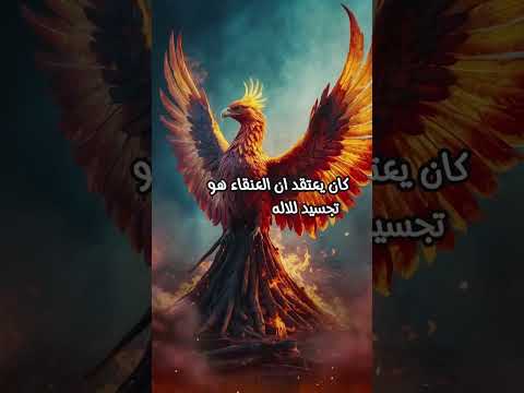 هل تعرف لماذا العنقاء من المستحيلات علاقة العنقاء بالجمال اكسوزوم ندبات 