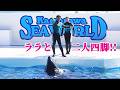 影武者パフォーマンス!! 鴨川シーワールド シャチショー KamogawaSeaWorld  orca killerwhale